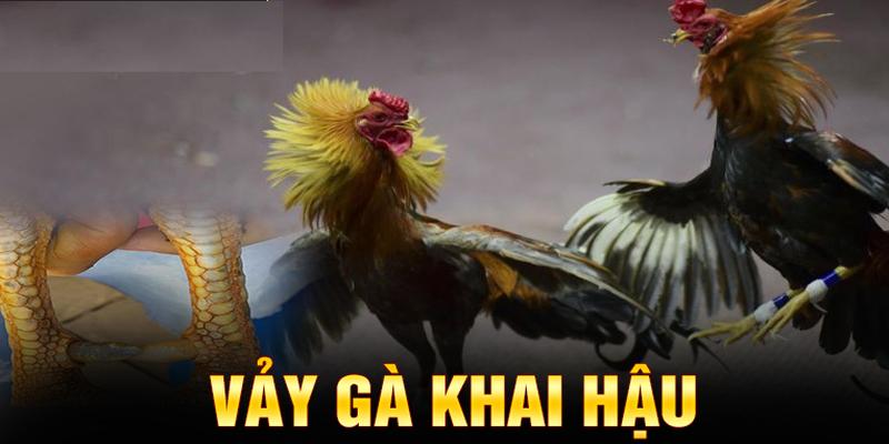 Vảy Khai Hậu Tốt Hay Xấu? Góc Nhìn Chuẩn Từ Kê Thủ