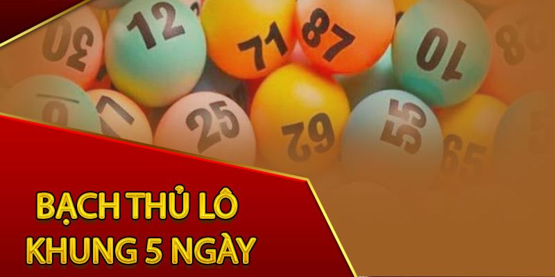 Bạch Thủ Lô Khung 5 Ngày – Chiến Thuật Nuôi Số Bền Vững