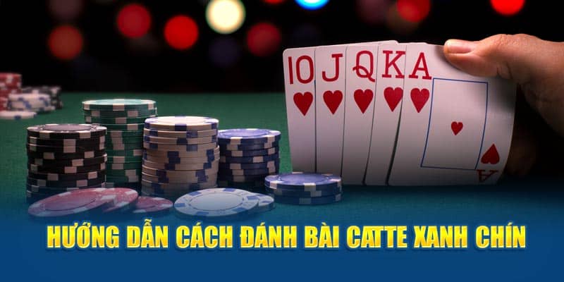 Cách chơi bài Catte chi tiết theo từng vòng