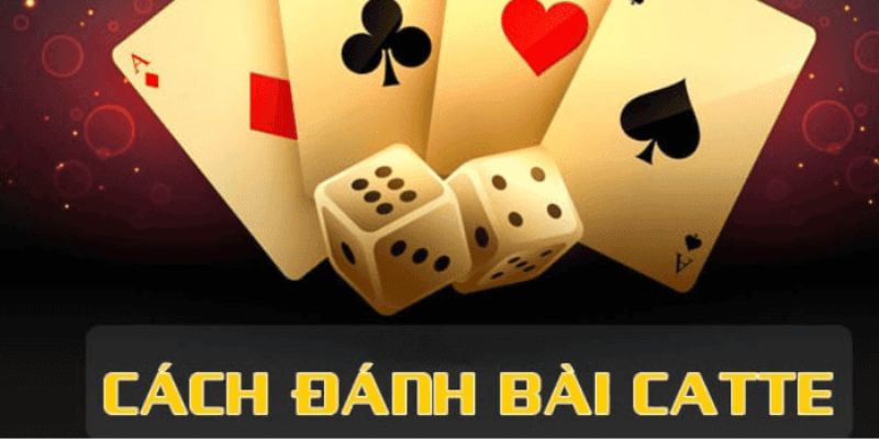 Tổng quan về bài Catte và luật chơi cơ bản