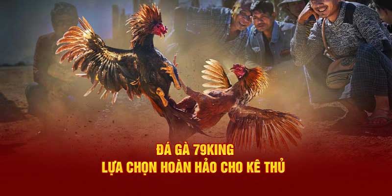 Tìm hiểu tổng quan về sảnh đá gà 79KING